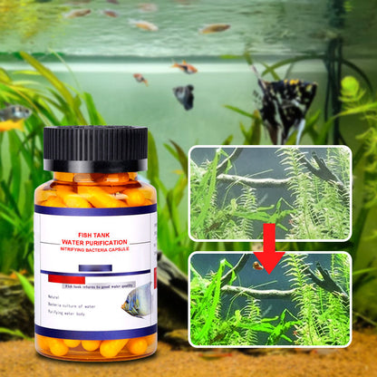 🌟Buy more get more free🌟Fish Tank Water Purification Nitrifying Bacteria Capsule