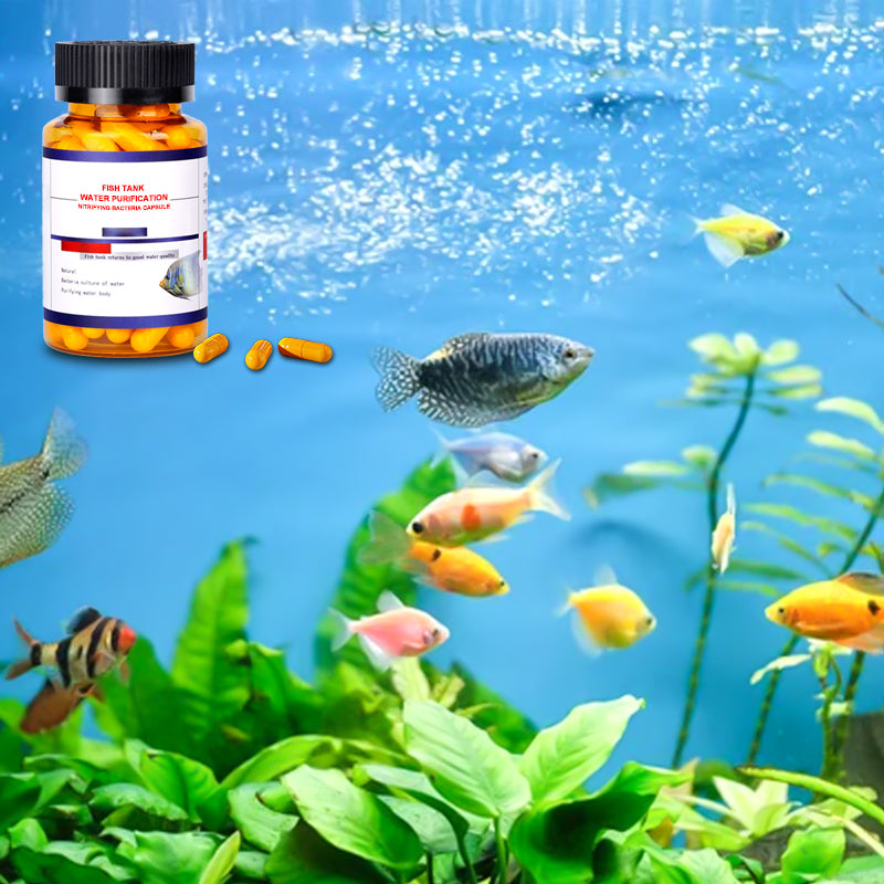 🌟Buy more get more free🌟Fish Tank Water Purification Nitrifying Bacteria Capsule