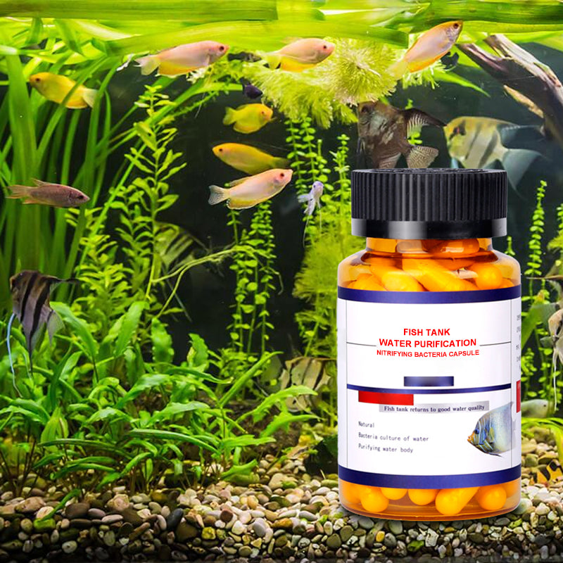 🌟Buy more get more free🌟Fish Tank Water Purification Nitrifying Bacteria Capsule