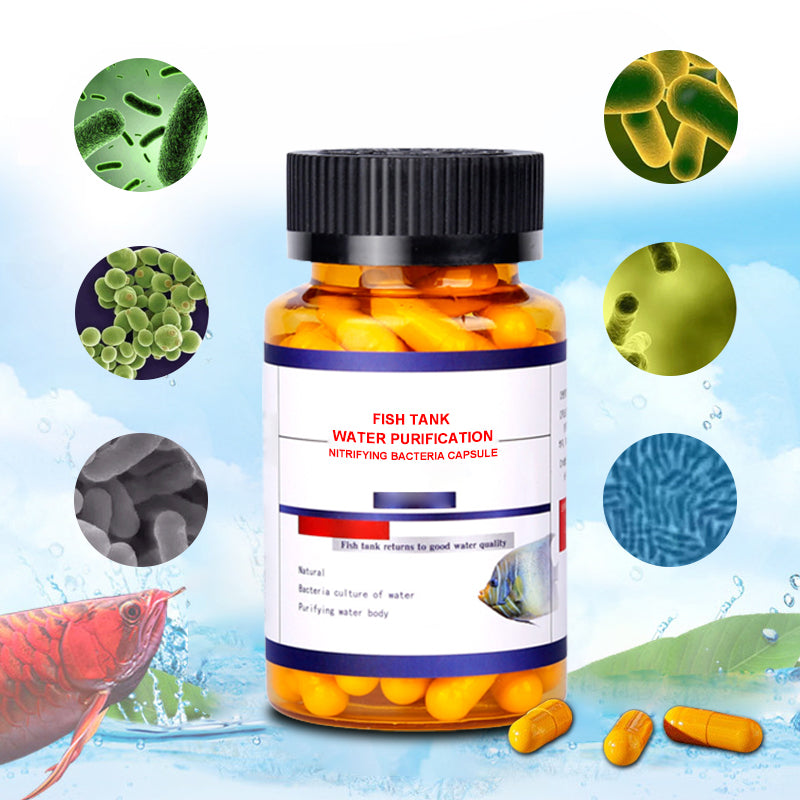 🌟Buy more get more free🌟Fish Tank Water Purification Nitrifying Bacteria Capsule