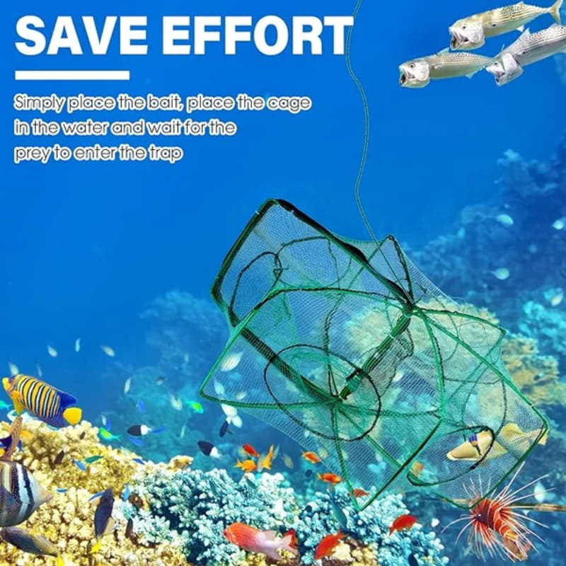 🔥Hot Sale 50% OFF🐟Auto-Foldable Strengthened Fishing Trap Net