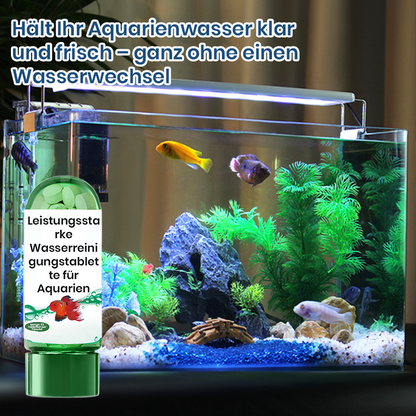 🔥BUY 1 GET 1 FREE🔥Powerful Aquarium Water Purification Tablet