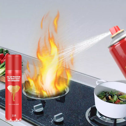 🔥2025 New Arrival🔥 Car and Household 21B Water-based Fire Extinguisher